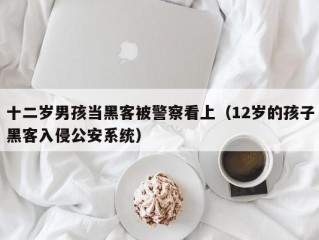 十二岁男孩当黑客被警察看上（12岁的孩子黑客入侵公安系统）