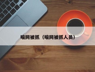 暗网被抓（暗网被抓人员）