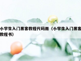 小学生入门黑客教程代码雨（小学生入门黑客教程书）