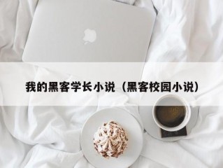 我的黑客学长小说（黑客校园小说）