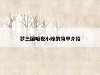 梦三国暗夜小峰的简单介绍