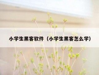 小学生黑客软件（小学生黑客怎么学）