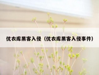 优衣库黑客入侵（优衣库黑客入侵事件）
