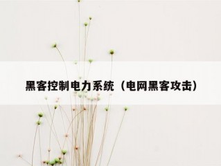 黑客控制电力系统（电网黑客攻击）