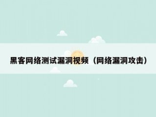 黑客网络测试漏洞视频（网络漏洞攻击）