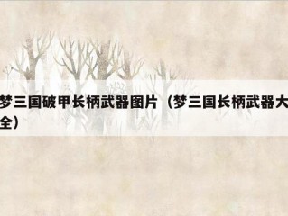 梦三国破甲长柄武器图片（梦三国长柄武器大全）