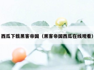 西瓜下载黑客帝国（黑客帝国西瓜在线观看）