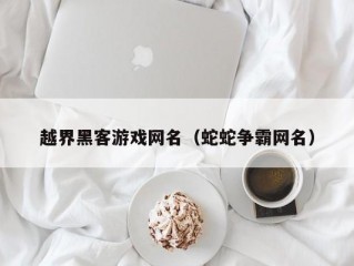 越界黑客游戏网名（蛇蛇争霸网名）