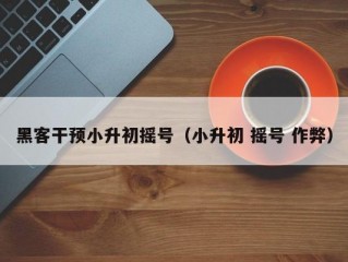 黑客干预小升初摇号（小升初 摇号 作弊）