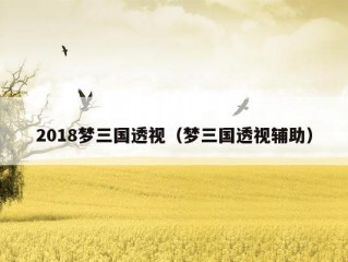 2018梦三国透视（梦三国透视辅助）