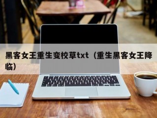 黑客女王重生变校草txt（重生黑客女王降临）