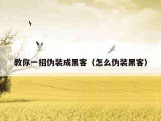 教你一招伪装成黑客（怎么伪装黑客）