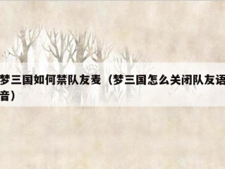 梦三国如何禁队友麦（梦三国怎么关闭队友语音）