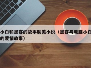 小白和黑客的故事耽美小说（黑客与电脑小白的爱情故事）