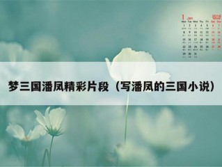 梦三国潘凤精彩片段（写潘凤的三国小说）