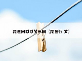 琵琶网怼怼梦三国（琵琶行 梦）