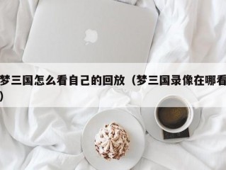 梦三国怎么看自己的回放（梦三国录像在哪看）