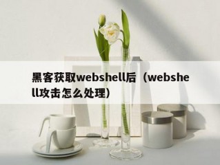 黑客获取webshell后（webshell攻击怎么处理）