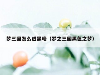 梦三国怎么进黑暗（梦之三国黑色之梦）