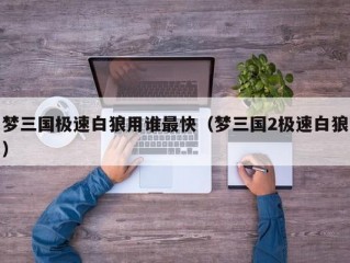 梦三国极速白狼用谁最快（梦三国2极速白狼）