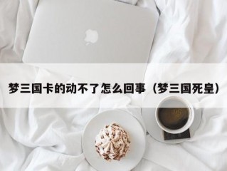 梦三国卡的动不了怎么回事（梦三国死皇）