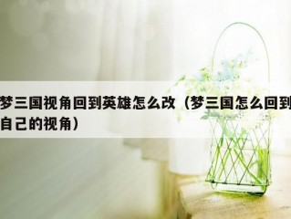 梦三国视角回到英雄怎么改（梦三国怎么回到自己的视角）