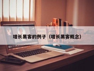 增长黑客的例子（增长黑客概念）