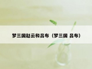 梦三国赵云和吕布（梦三国 吕布）