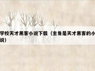 学校天才黑客小说下载（主角是天才黑客的小说）