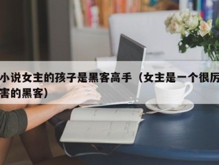 小说女主的孩子是黑客高手（女主是一个很厉害的黑客）