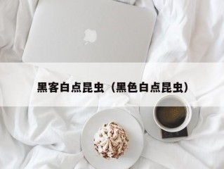 黑客白点昆虫（黑色白点昆虫）