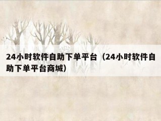 24小时软件自助下单平台（24小时软件自助下单平台商城）