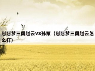 怼怼梦三国赵云VS孙策（怼怼梦三国赵云怎么打）