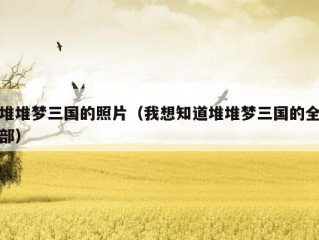 堆堆梦三国的照片（我想知道堆堆梦三国的全部）