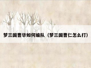 梦三国曹华如何编队（梦三国曹仁怎么打）