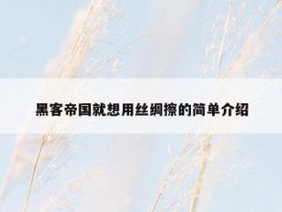 黑客帝国就想用丝绸擦的简单介绍