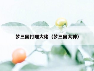 梦三国打理大佬（梦三国大神）