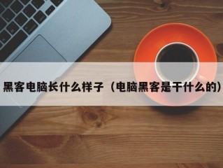 黑客电脑长什么样子（电脑黑客是干什么的）