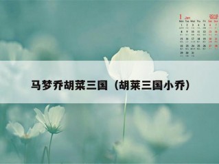 马梦乔胡菜三国（胡莱三国小乔）