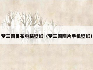 梦三国吕布电脑壁纸（梦三国图片手机壁纸）