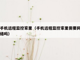 手机远程监控家里（手机远程监控家里需要网络吗）