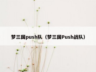 梦三国push队（梦三国Push战队）