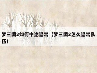 梦三国2如何中途退出（梦三国2怎么退出队伍）