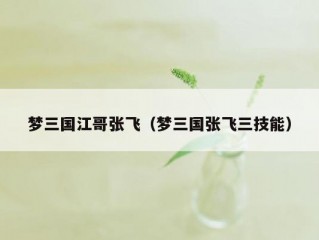 梦三国江哥张飞（梦三国张飞三技能）