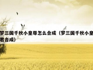 梦三国千秋小皇尊怎么合成（梦三国千秋小皇君合成）