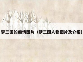 梦三国的痴情图片（梦三国人物图片及介绍）