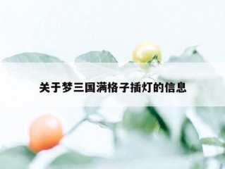 关于梦三国满格子插灯的信息