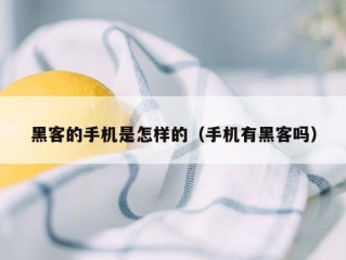 黑客的手机是怎样的（手机有黑客吗）