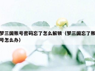 梦三国账号密码忘了怎么解锁（梦三国忘了账号怎么办）