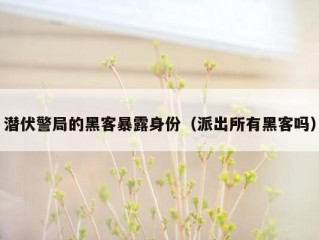 潜伏警局的黑客暴露身份（派出所有黑客吗）